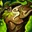 Item 1 image